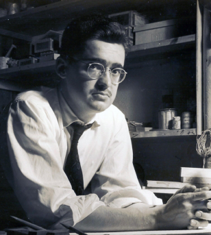 Aldary Toledo